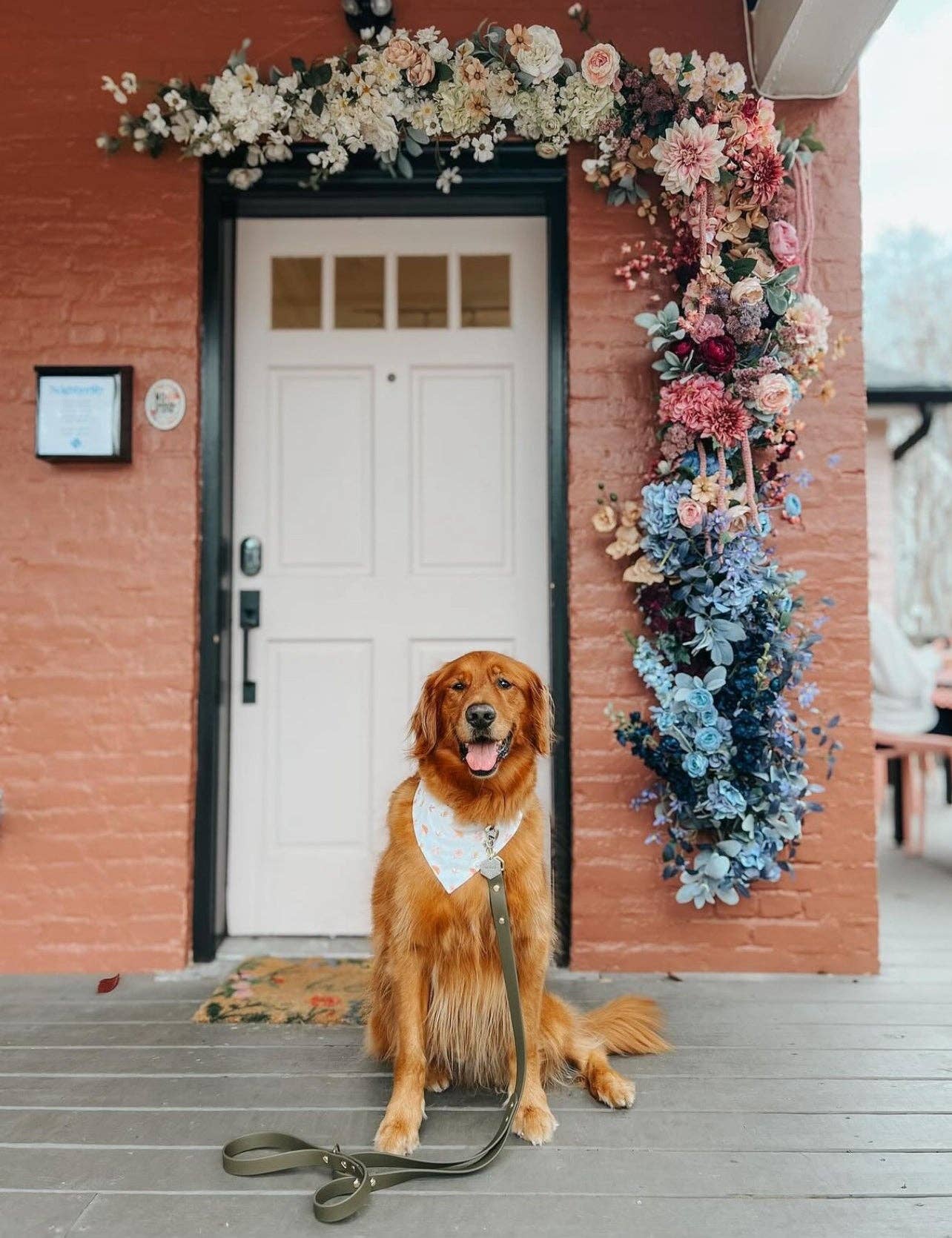 Ruff N' Fluff - Wholesale Pet Leash - Dog - 6 Ft. Adventure Proof Leashes2