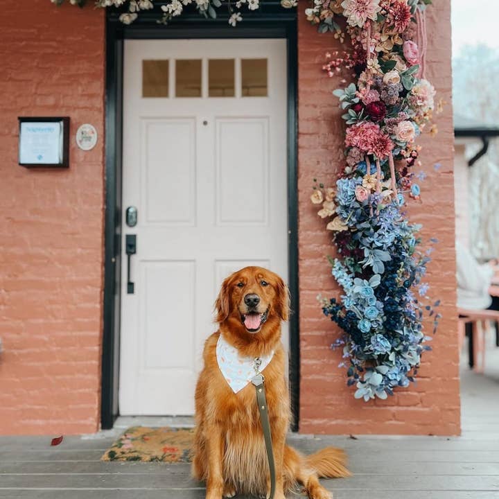 Ruff N' Fluff - Wholesale Pet Leash - Dog - 6 Ft. Adventure Proof Leashes2