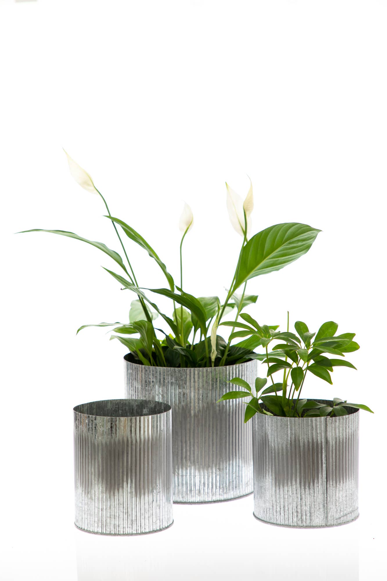 UNIMIX FLORAL – wholesale Vase – Tin Galvanized Pot Wedding, Event & Everyday 5"x5"6