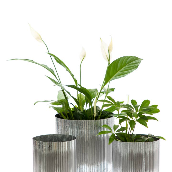 UNIMIX FLORAL – Engroshandel Vase – Tin Galvaniseret Pot Bryllup, Begivenhed & Hverdag 4.5 „x5.5"3