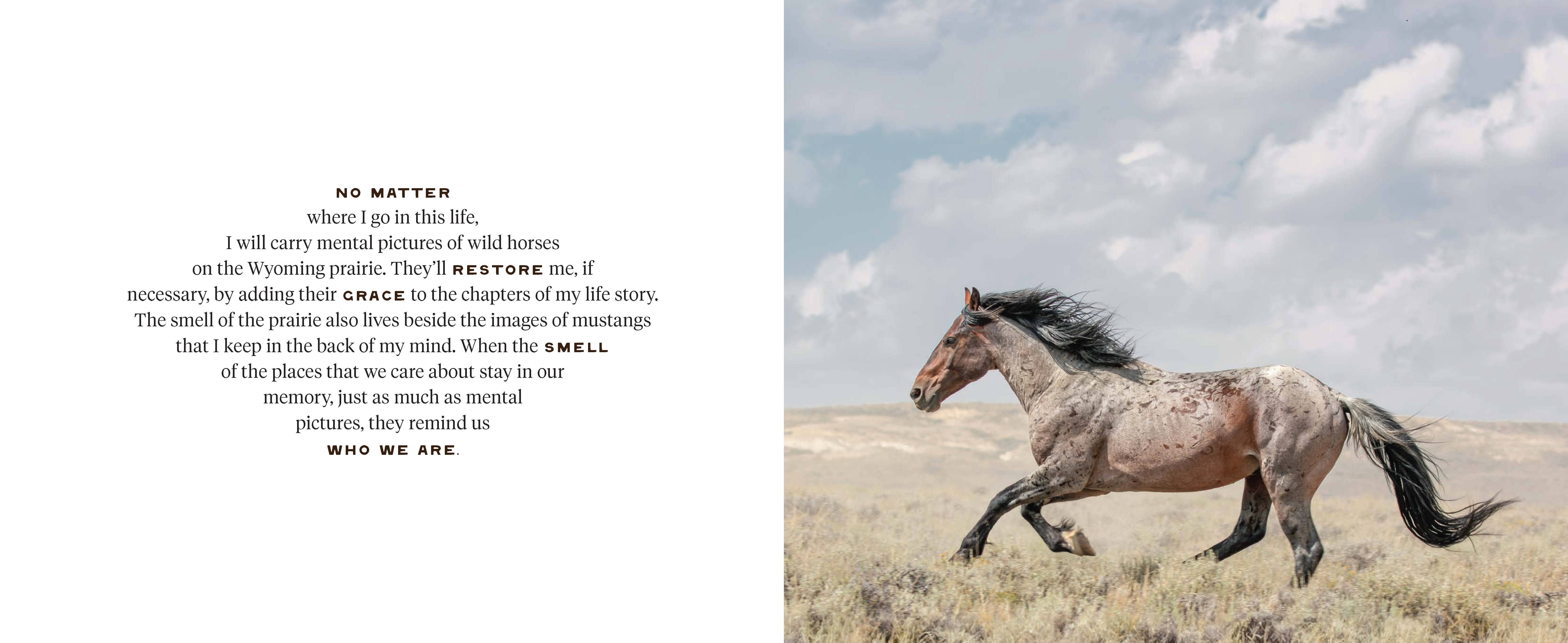 Chronicle Books - Wholesale Nature & Outdoors - Wild Horse Effect4