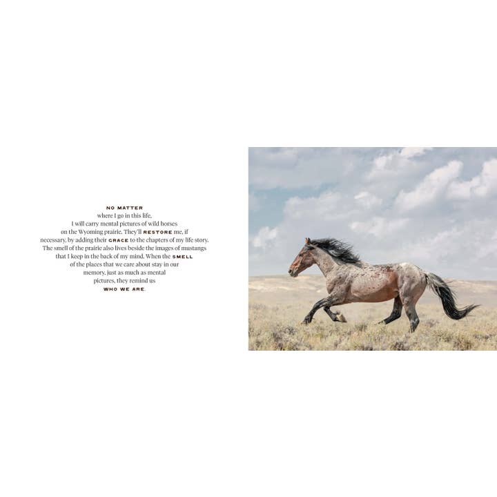 Chronicle Books - Wholesale Nature & Outdoors - Wild Horse Effect4