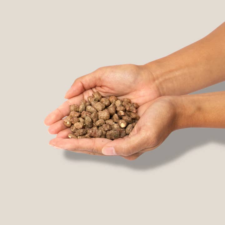 Little Hunter - Wholesale Pet Food - Dog - Raw Beef Recipe