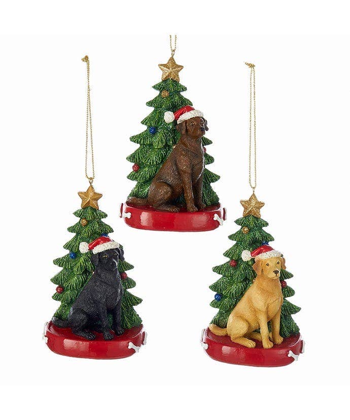 Kurt S. Adler, Inc. - Wholesale Ornament Set - 4.25"LABRADOR RETRIEVER W/TREE 3/A1