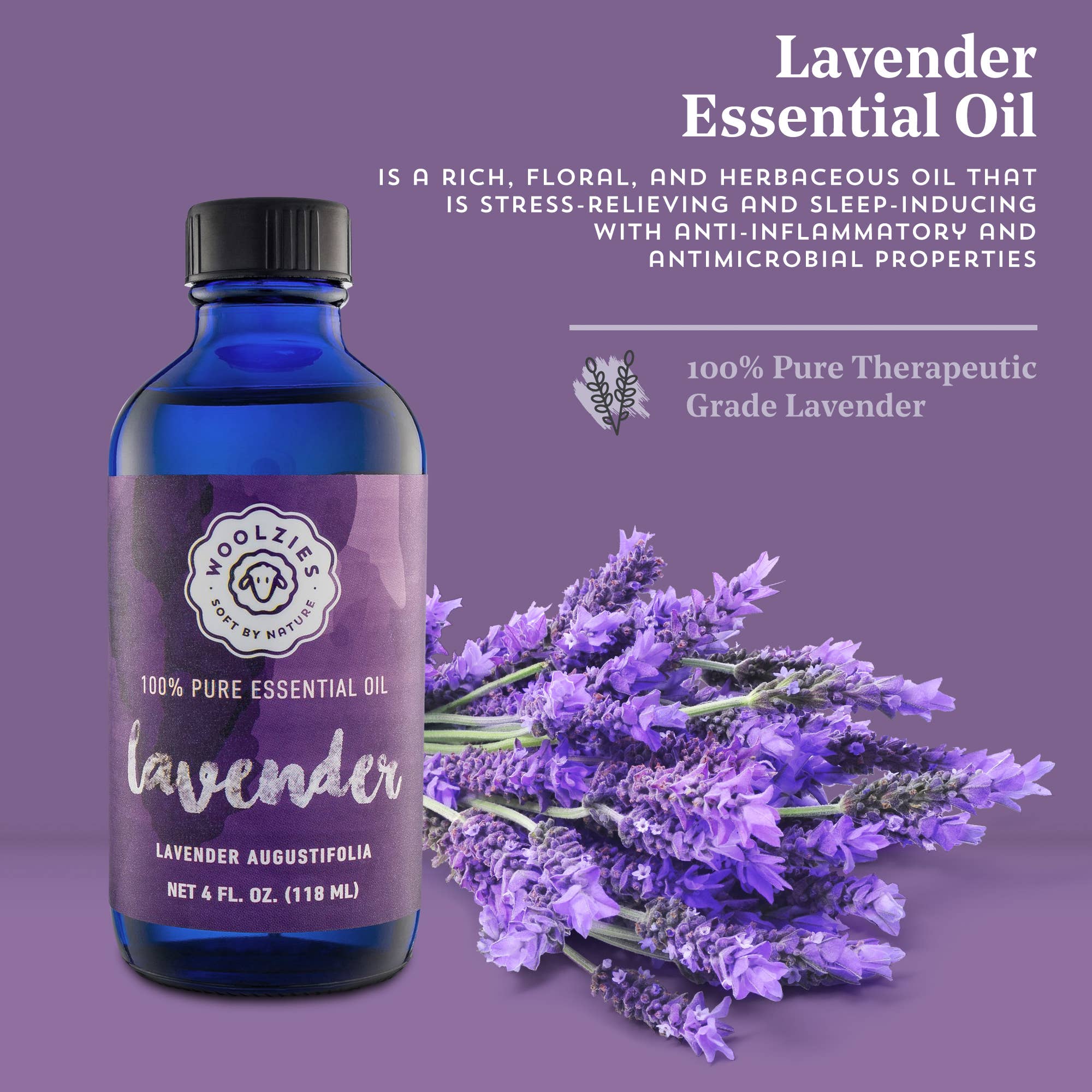 Woolzies - Wholesale Essential Oil - Lavender Essential Oil7