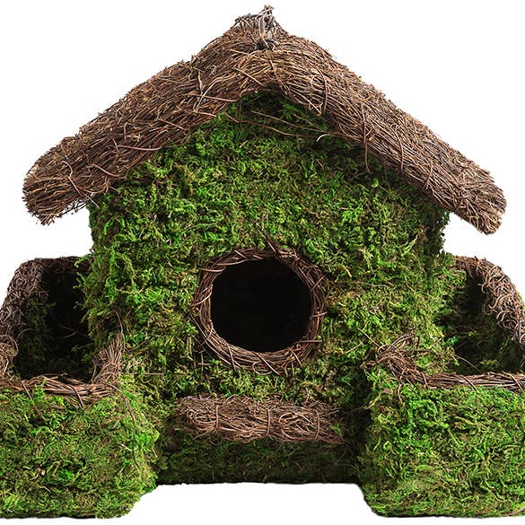 SuperMoss - Wholesale Bird House - Plantable Maison Patio Birdhouse