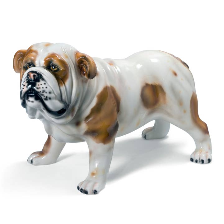 Bulldog Blanc Chien 25,5 « L pour la vente par Intrada Italy