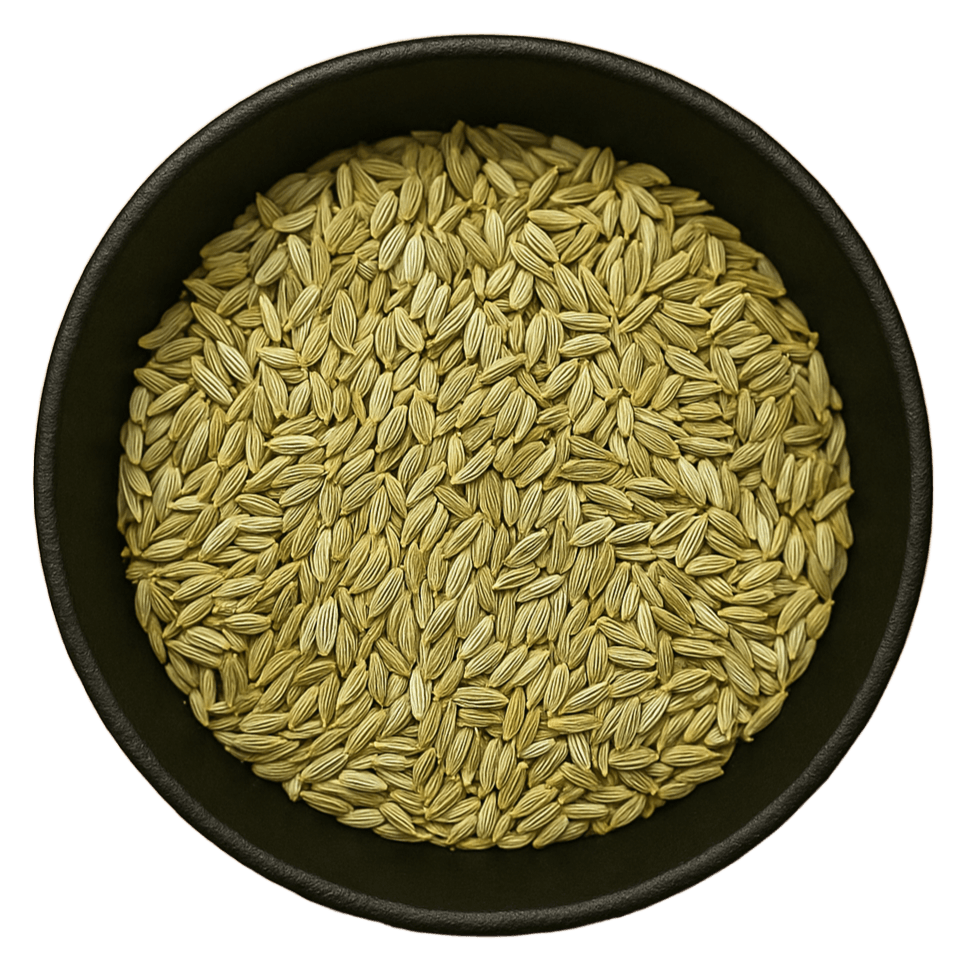 LA Herb - Vendita all'ingrosso Semi di piante - Semi di Finocchio Interi (Foeniculum Vulgare)1