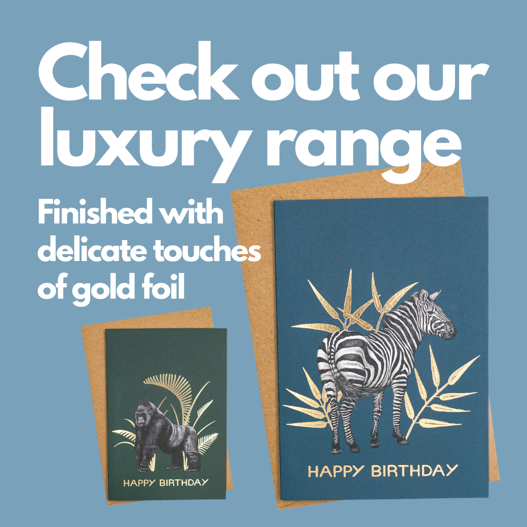 Wild Lines - Wholesale Birthday Card - Gorilla Cards // Gorilla Birthday Cards // Wildlife Art Card9