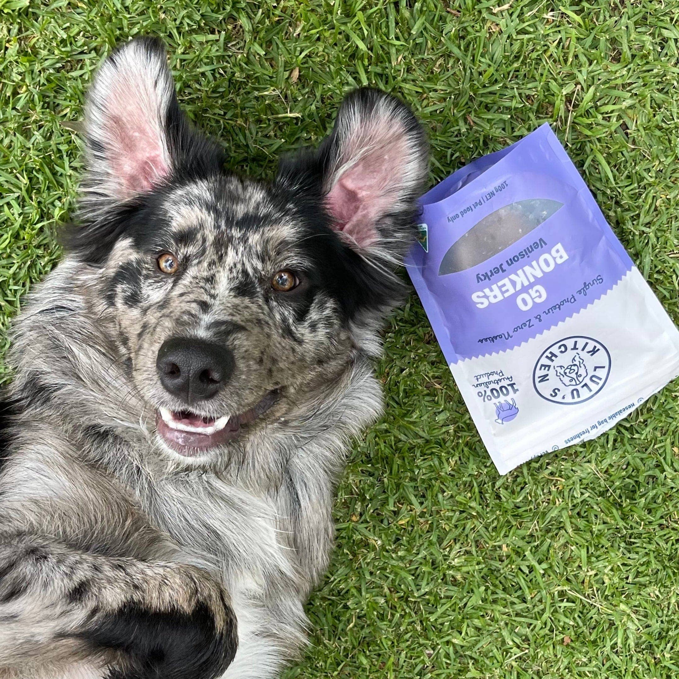 Rover Pet Products - Vente Friandises – chien - Acheter en gros 1kg de friandises pour chiens au jerky de venaison8