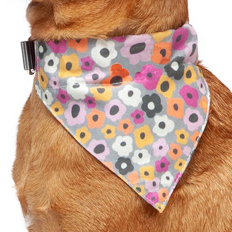 Multi-Floral Pupperchief for engroshandel hos Seawoof