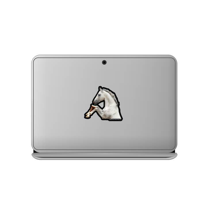 Horse Hollow Press - Wholesale Sticker - 3" Tumbler Horse Sticker / Coffee & Starbucks / WATERPROOF
9