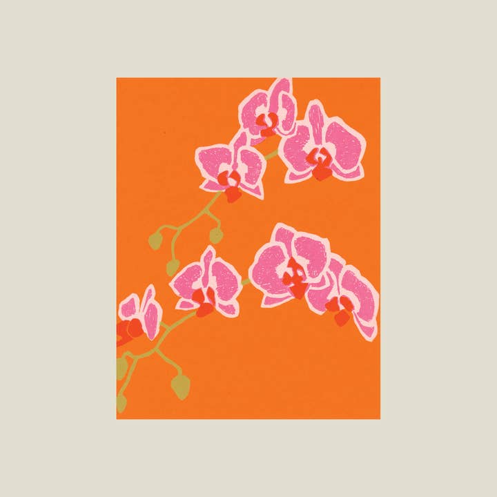 Tarjeta de orquídea polilla para venta al por mayor de Kinaloon