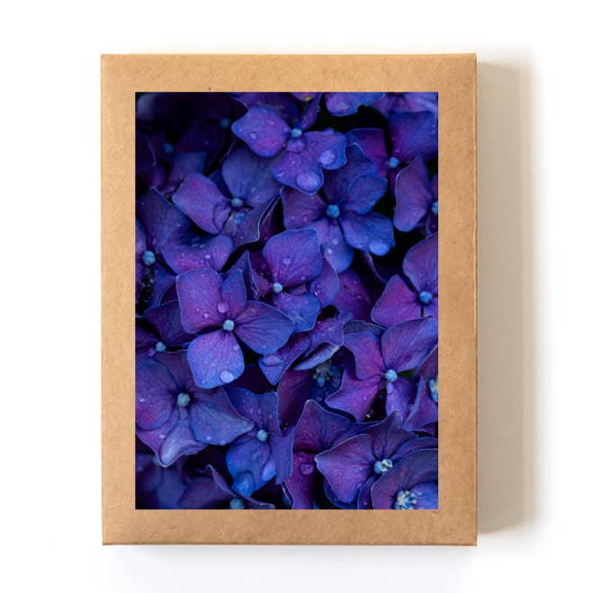 Coffret de cartes « Summer Hydrangea » (8 cartes+enveloppes) pour la vente par Andrea Morris Art