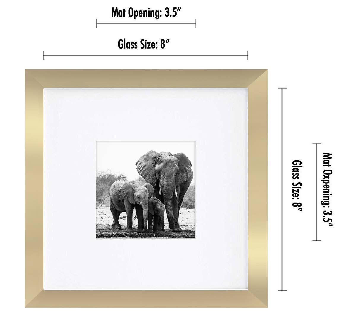 Americanflat - Wholesale Picture Frame - Americanflat Picture Frame with Mat Standard Molding31