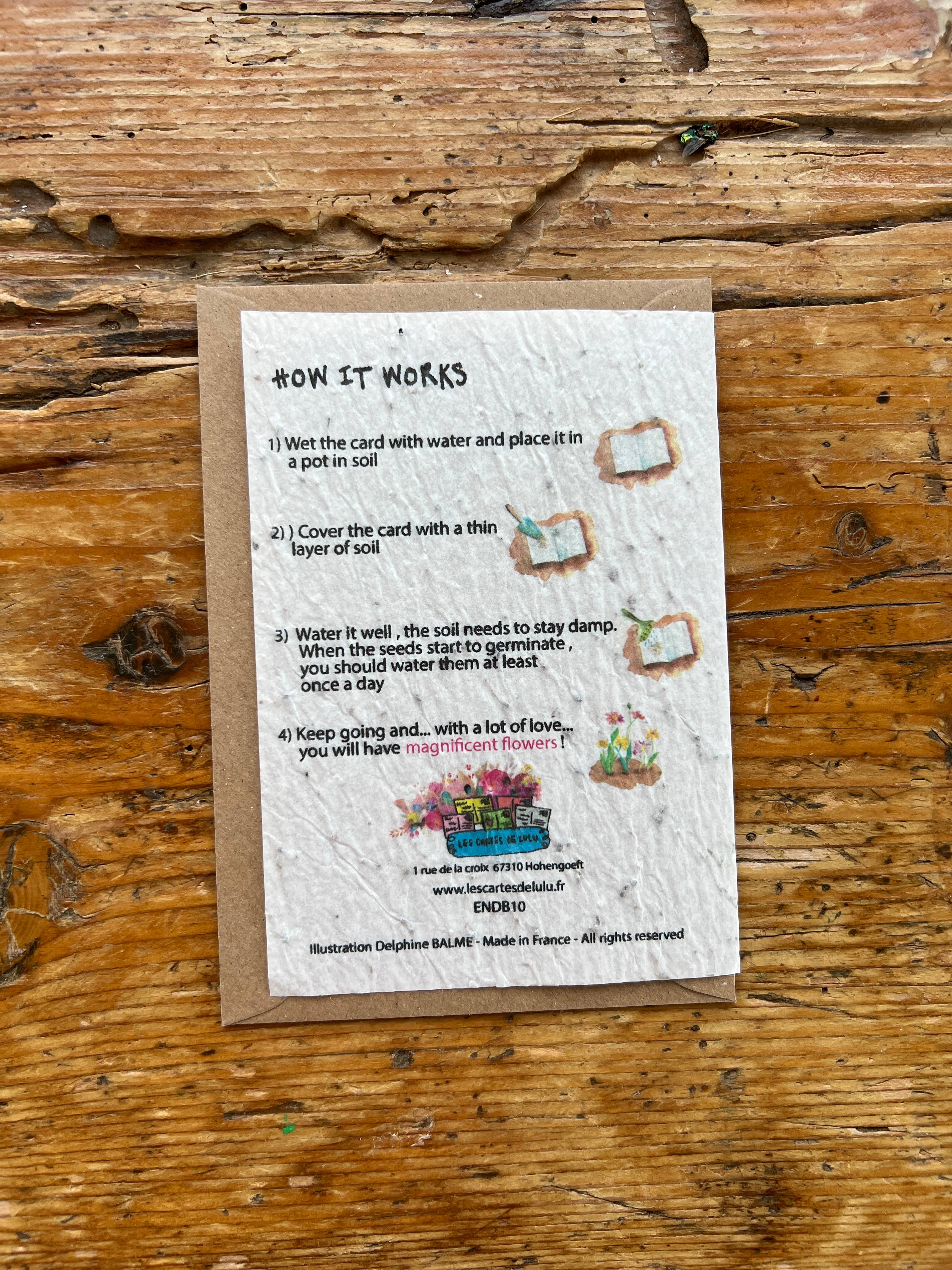 Les cartes de Lulu - Vendita all'ingrosso Biglietti d'amore - Carta da piantare "2CV" con semi di fiori di campo1