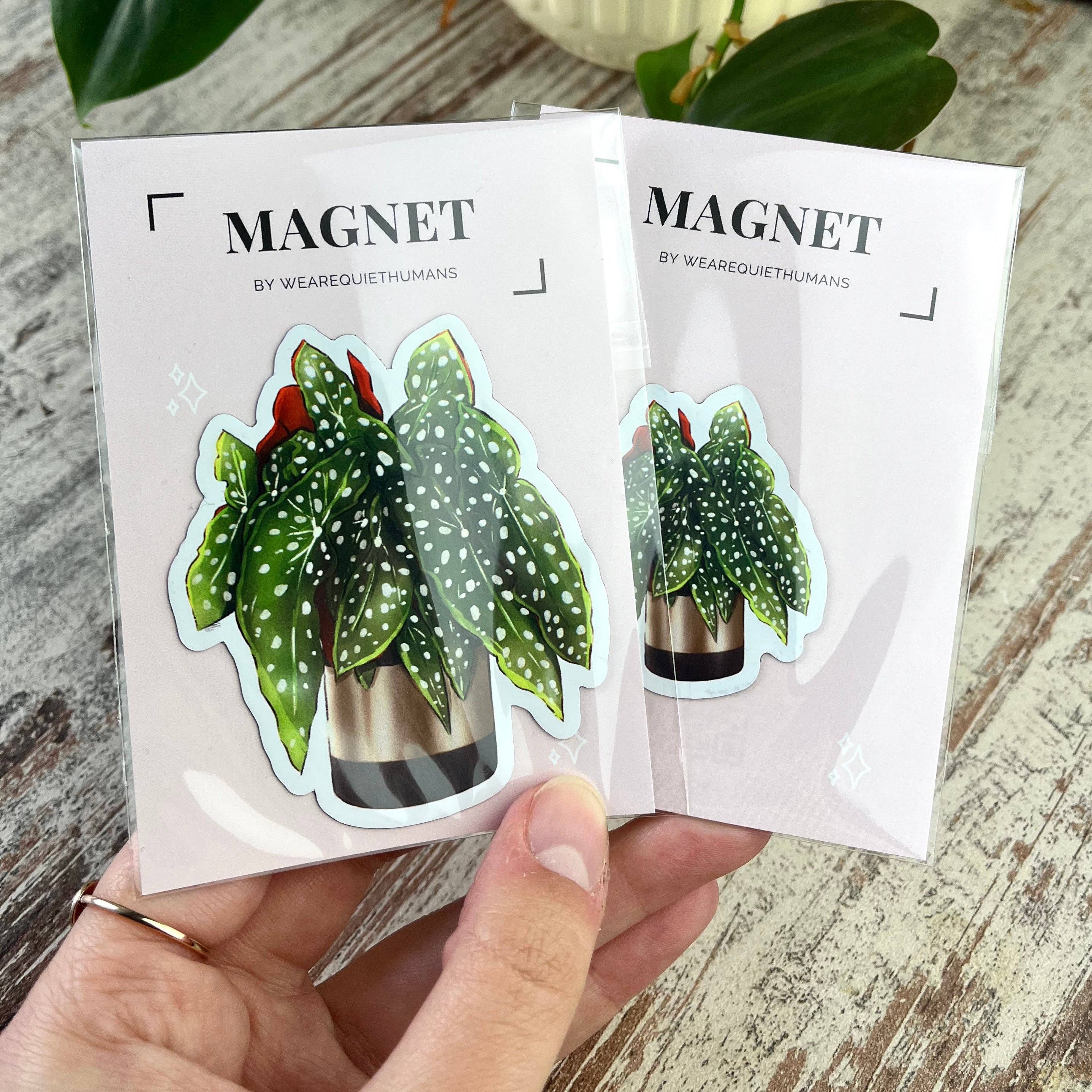 plantyintroverts - Wholesale Magnet - Magnet - Begonia Maculata in Pot, Plantmom, Plantlover3