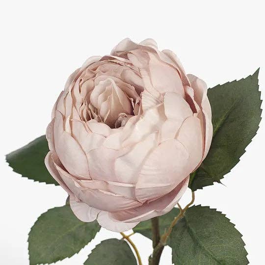 JKF & Co Pty Ltd – wholesale Konstgjorda blommor – English Rose Single Stem Rosa1