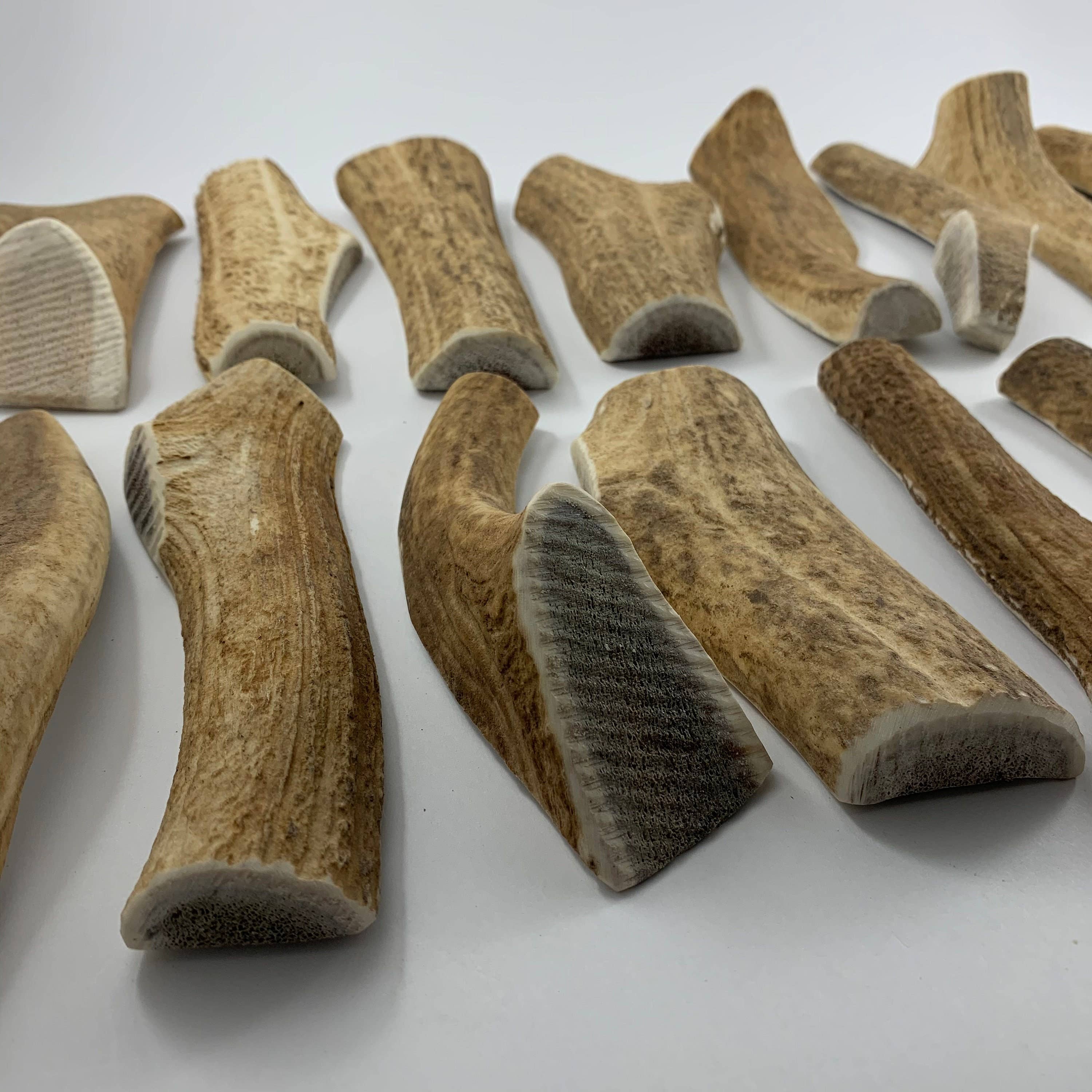 Pawsome Pet Toys - Wholesale Pet Chew Toy - Dog - L size Natural deer antler2