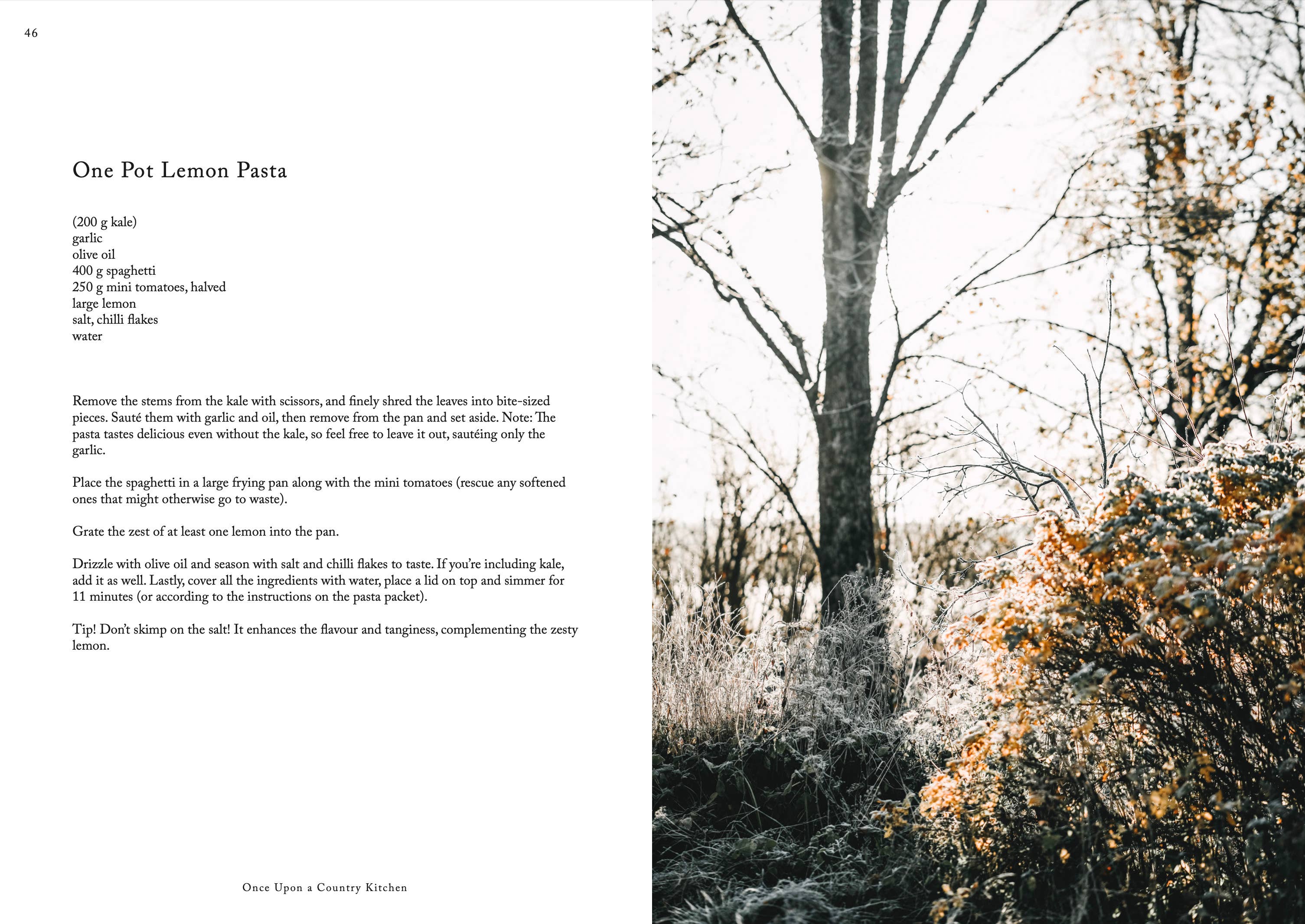 Cozy Publishing - Wholesale Cookbooks & Food - Once Upon a Country Kitchen6