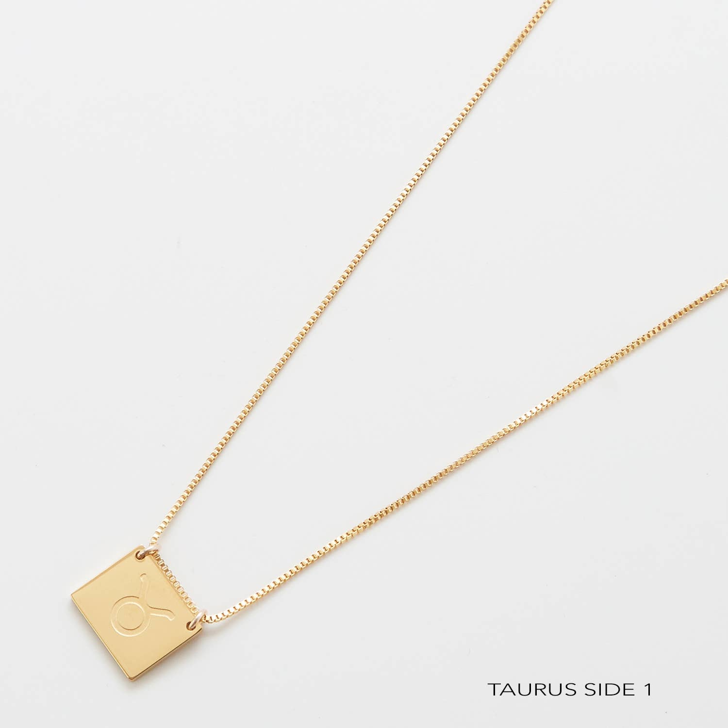 Admiral Row Jewelry - Wholesale Pendant/Charm Necklace - Zodiac Double-Sided Astrology Gold Filled Necklace - Personalization Jewelry21