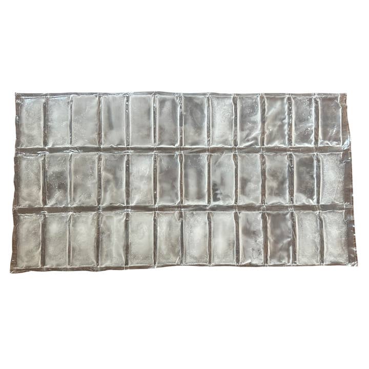 Paquete de Envío con Control de Clima (Pedidos de Verano) para venta al por mayor de BaltiSpore LLC