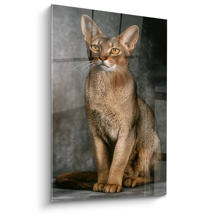 Tableau Chat Chausie Portrait - Regard Doré - Edition chat Chausie pour la vente par Walensky