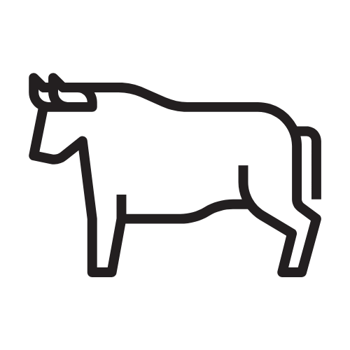 Berbician Canada - Wholesale Salami - New Release + Favourites Bundle4