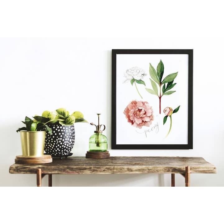 Peony Flower Art Print for wholesale by ALICIA'S INFINITY