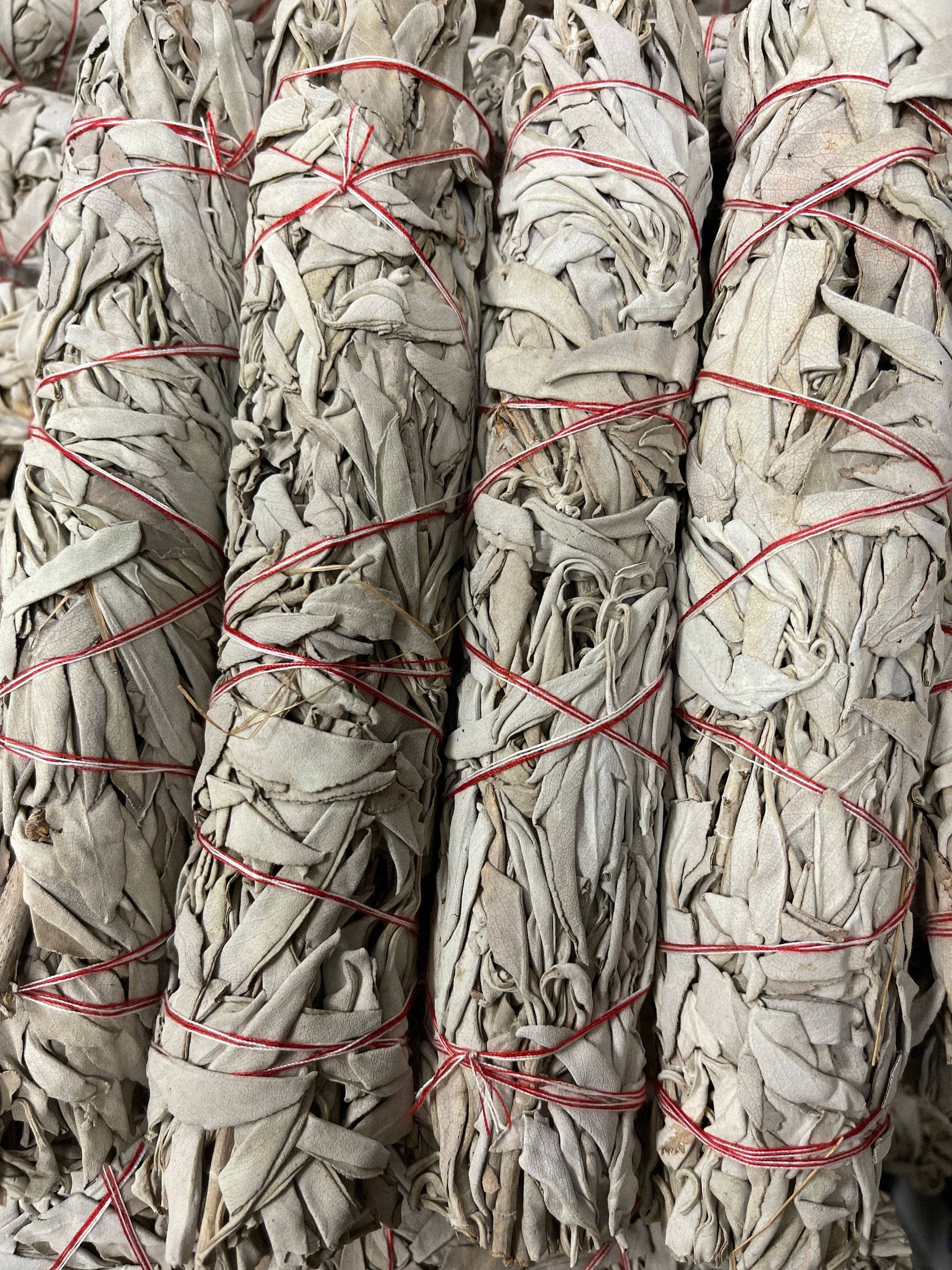 CaNatureLover - Vendita all'ingrosso Salvia - Bastoncini all'ingrosso della macchia della salvia bianca ORGANICA della California da 9 pollici, taglio laterale di alta qualità della salvia 22