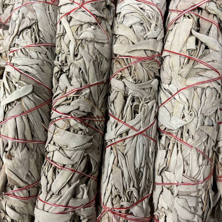 CaNatureLover - Vendita all'ingrosso Salvia - Bastoncini all'ingrosso della macchia della salvia bianca ORGANICA della California da 9 pollici, taglio laterale di alta qualità della salvia 22