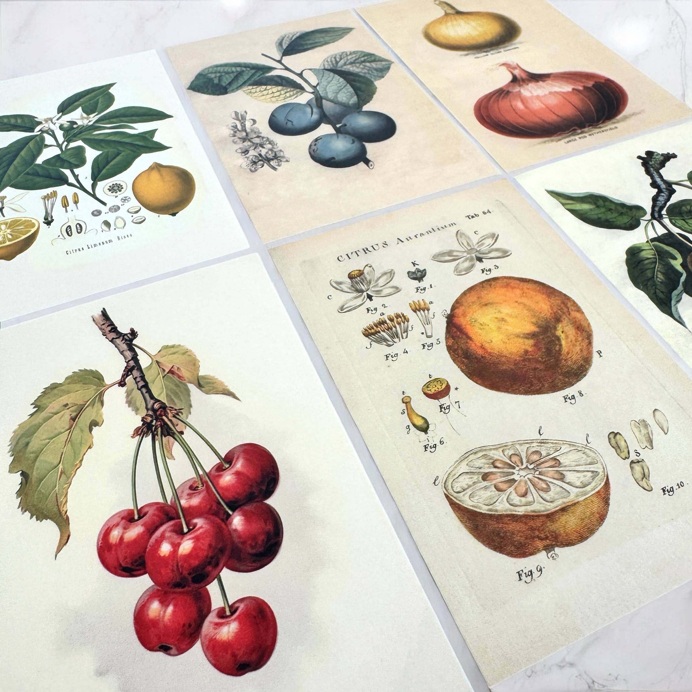 Firefly Notes – wholesale Recipe card – Botanical Recipe Card Set ,12 Cards + Banana Bread Recipe6