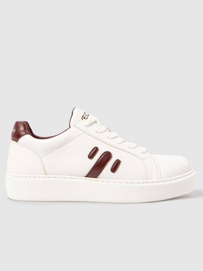 Oasis Man Red Cherry for wholesale by Vegtus