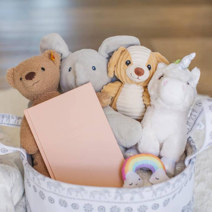 Promptly Journals - Wholesale Diary – Maternity - A Complete Childhood History: Pregnancy to 18 Years Journal 18