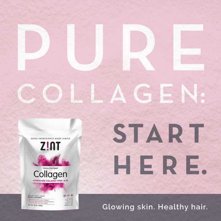 Zint Nutrition - Wholesale Protein/Superfood Powder - Collagen Peptides Powder (16 oz)