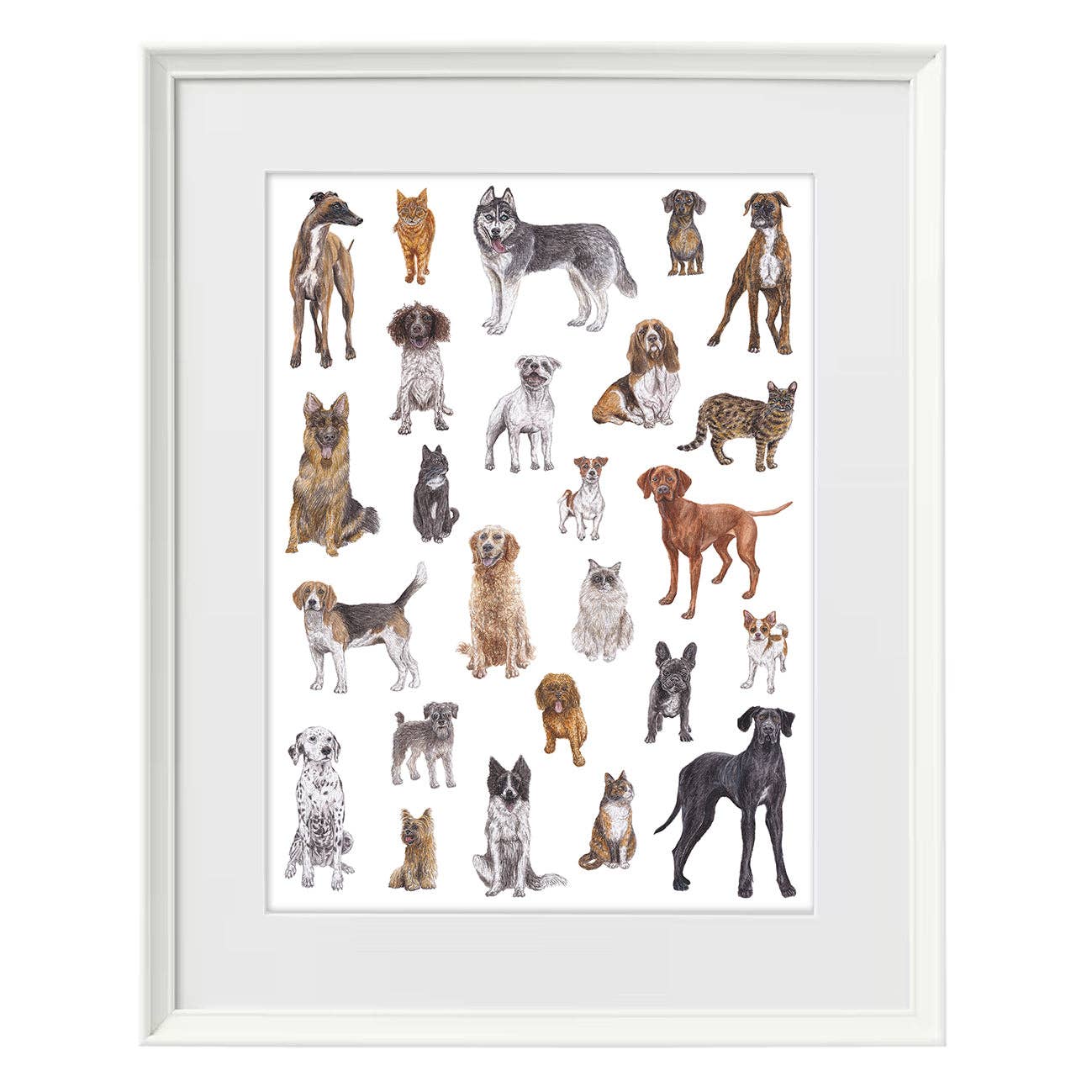 Lucy Locks Art - Wholesale Art Print - Cat and Dog A3 Print2
