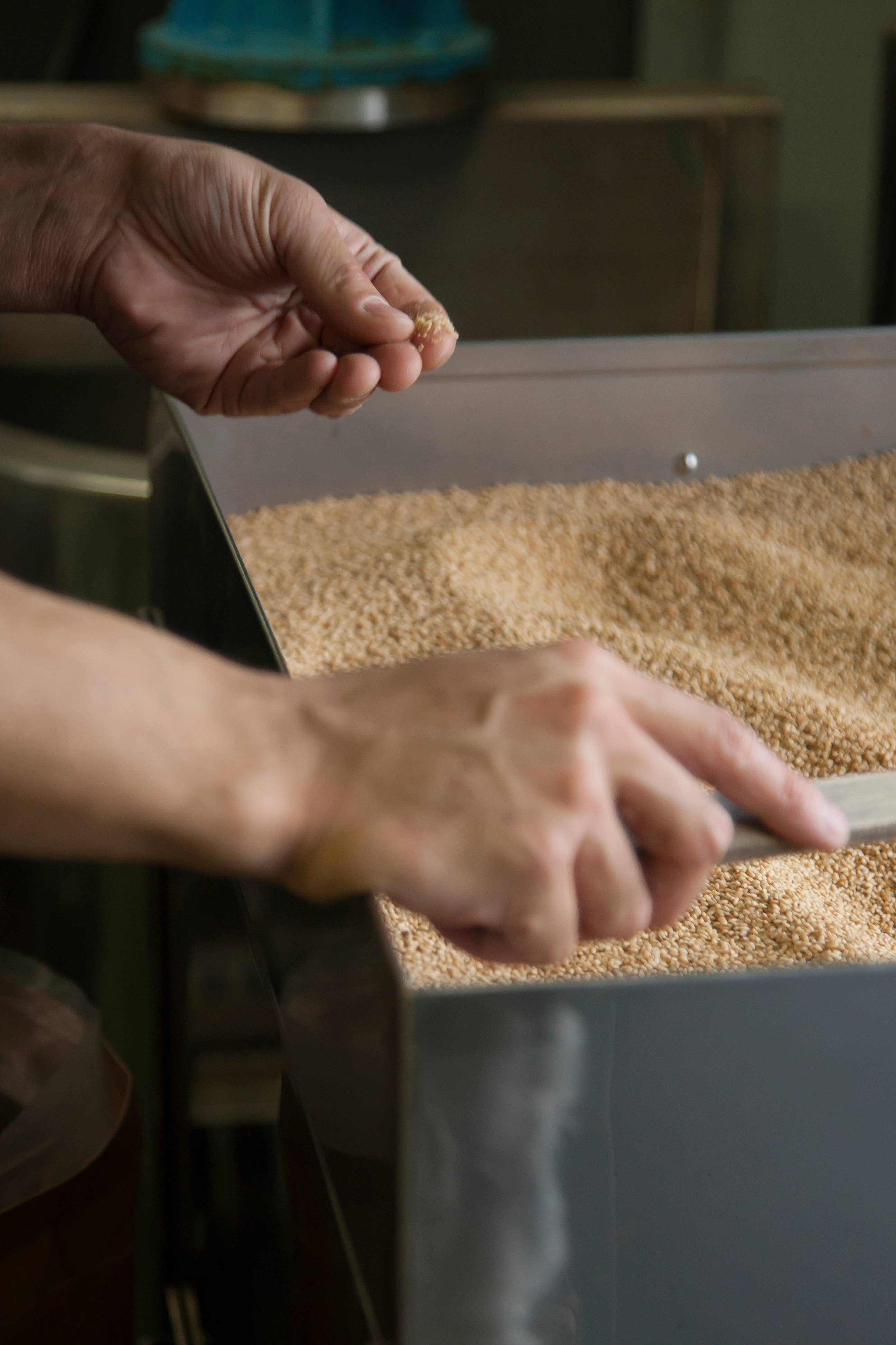 Japan Artisans - Wholesale Seeds/Kernels - Henko–Roasted White Sesame seeds80g | Kyoto, Japan6