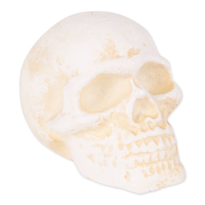 Zingz Home - Wholesale Paper Weight - Human Skull Cast Iron Paperweight
