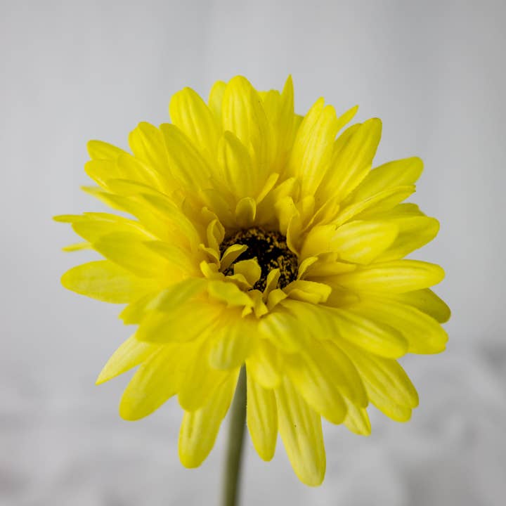 Realistic Artificial Flowers - Wholesale Artificial Flowers - Yellow Real Touch Gerbera - Realistic Artificial Flowers3