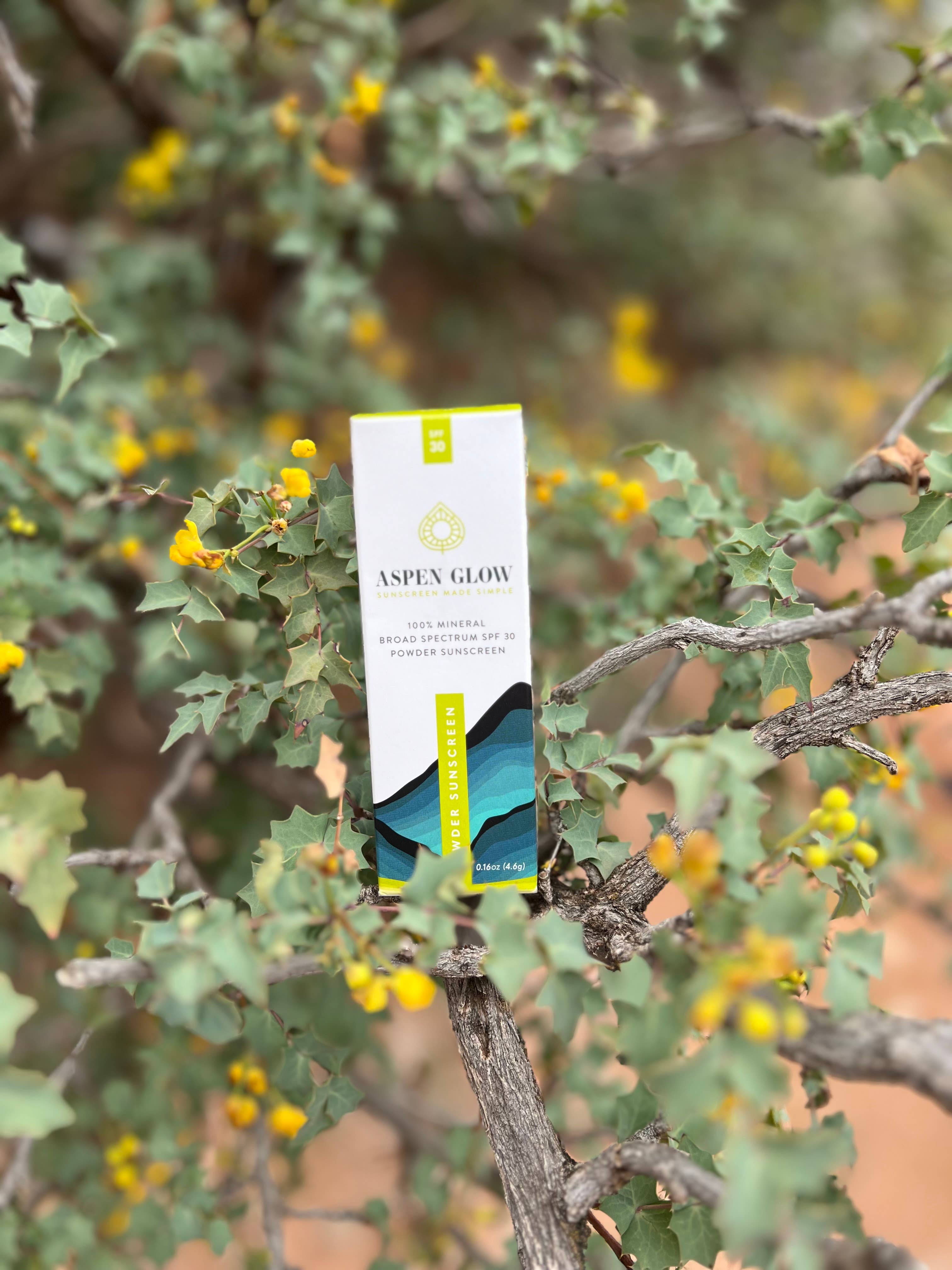 Aspen Glow - Vente Crèmes solaires - Écran solaire minéral en poudre SPF 30 – propre, sûr pour les récifs, pratique5