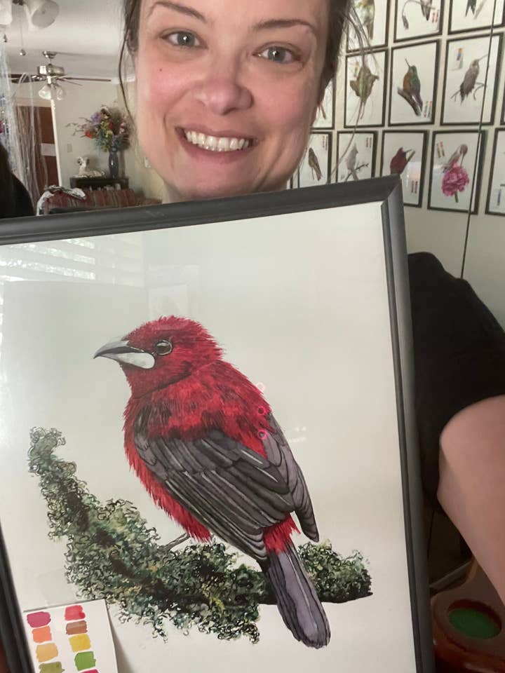 Crimson-Backed Tanager - Giclee Print for wholesale by Bird Art by KB