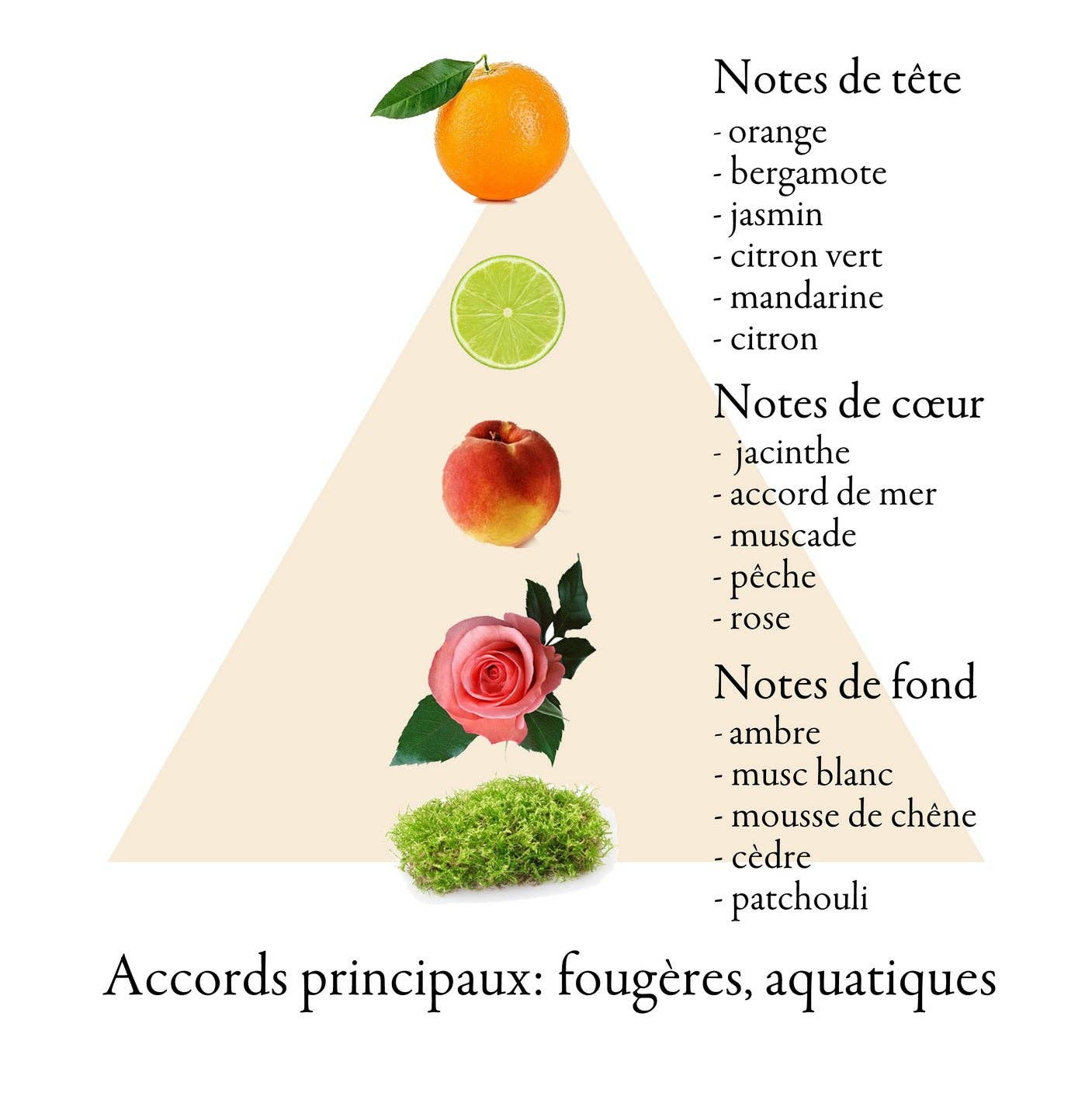 FAMILLE GRASSE PARFUMS - Wholesale Perfume/Eau de Toilette - VENT DU NORD 61°3' eau de parfum for men 100ml3