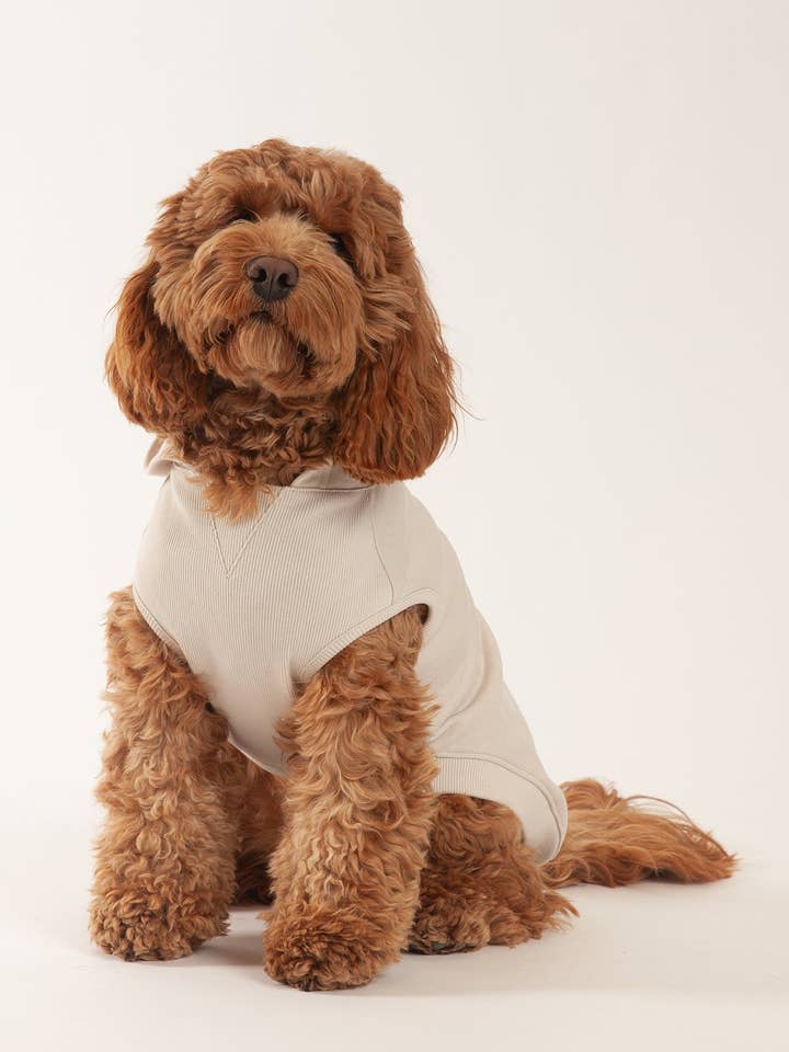 Hoodie léger pour chien en French Terry pour la vente par Lazypants