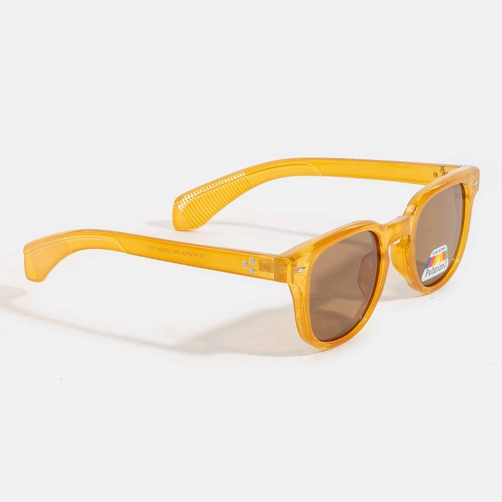 ASSORTED Acetate Frame Polarized Sunglasses Set for wholesale on Faire2