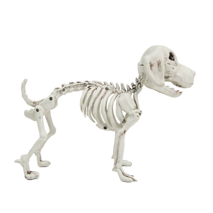Party Pro - Wholesale Decorative Figurine - SKELETON OF A SMALL DOG 26CM1