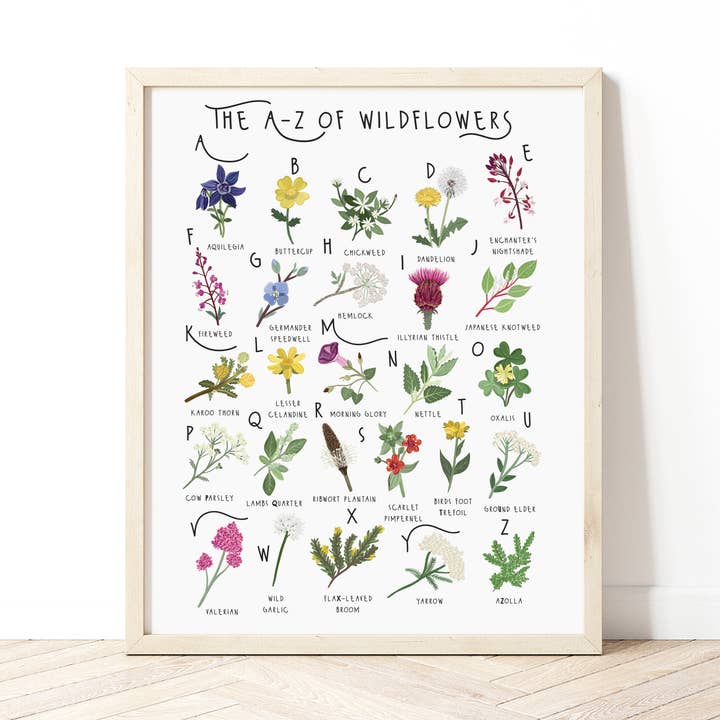 Stampa dalla A alla Z di Wildflowers per la vendita all'ingrosso da parte di Bea Baranowska Illustration