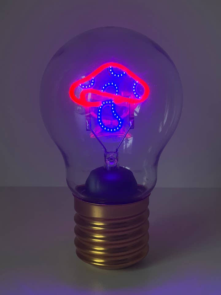 Glühbirne Neonlampe - Pilz (rosa und blau) für den Großhandel von 29 Tonight