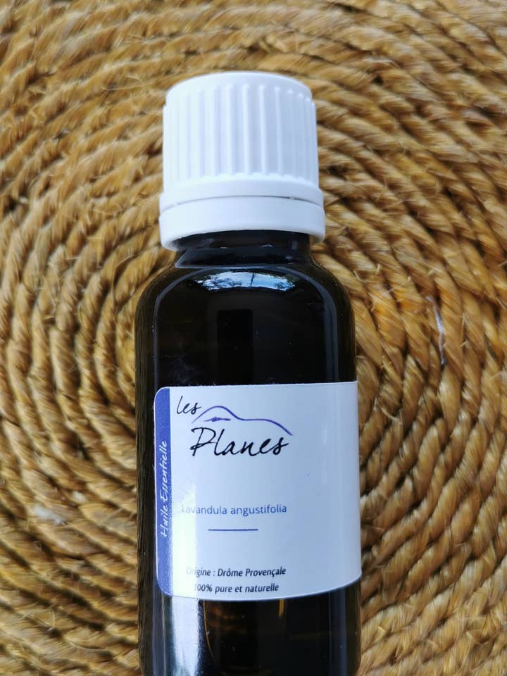 Aceite esencial de Lavandula Maillette para venta al por mayor de Les Planes