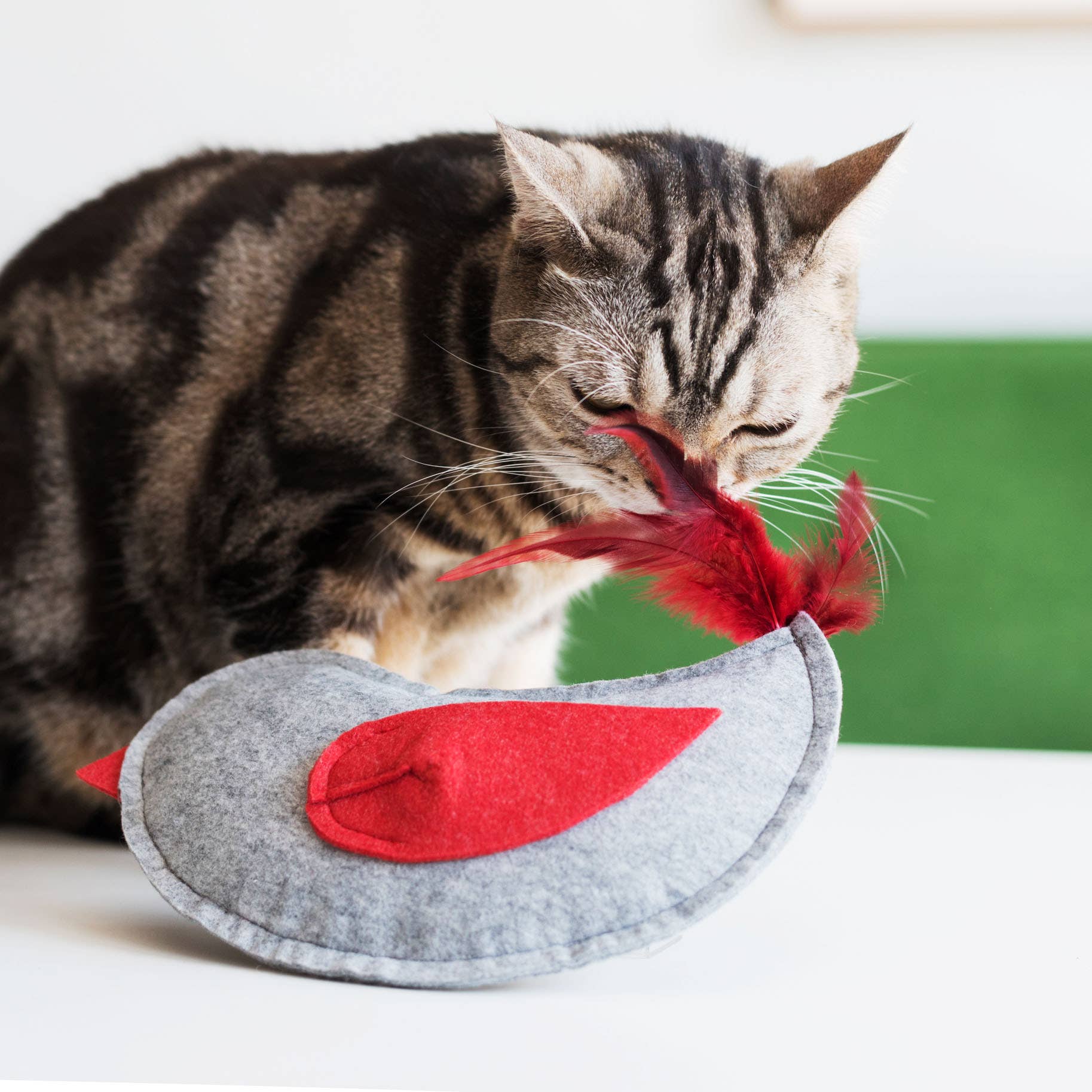 Nooee pet – Großhandel Haustierspielzeug – Katze & Hund – Nooee Haustierspielzeug – Leichte Spielzeuge für Hunde & Katzen10