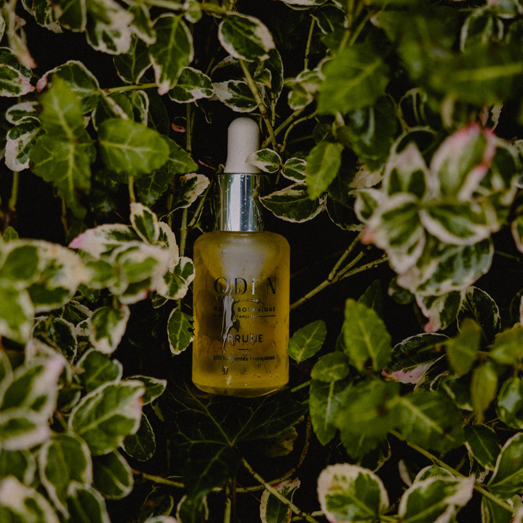 ODEN - Wholesale Facial Oil - Plum Face Oil – Nourishing for Dry Skin in Autumn1